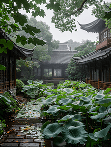 中国古风庭院摄影照片_荷花庭院摄影图