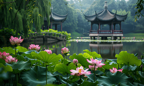 夏日荷塘的荷花和凉亭摄影图