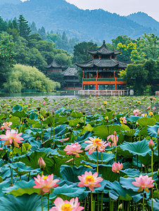 中国风国潮山水摄影照片_湖上的荷花和凉亭摄影图