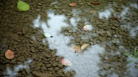 清明节靖肯雨水滴落慢镜头实拍