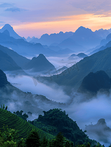 一看天空  薄雾  山观在黎明前的清晨  仰望山顶。清晨日出在高山上.