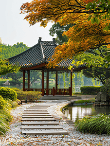 观荷亭风景摄影图