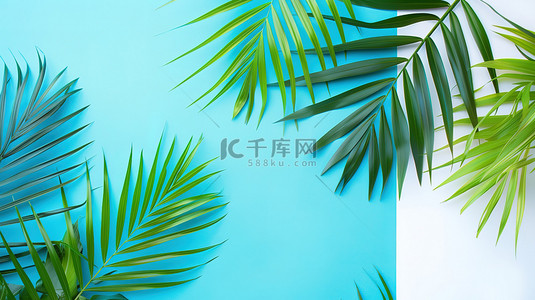 夏天背景图片_热带棕榈树叶蓝色背景