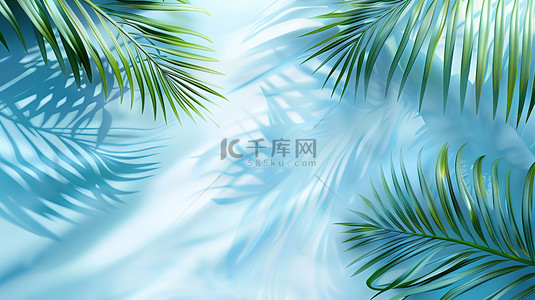 热带棕榈树叶蓝色背景