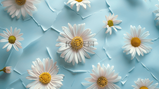 简约蓝色花朵背景图片_简约唯美清新花朵整齐平铺设计的背景