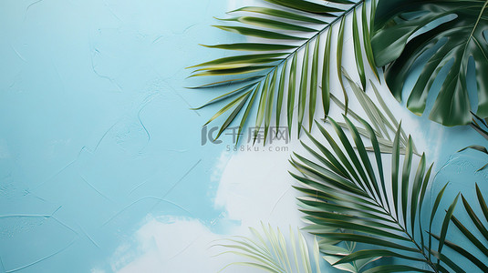棕榈芭蕉叶背景图片_热带棕榈树叶蓝色背景