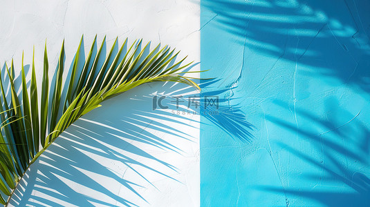 棕榈背景背景图片_热带棕榈树叶蓝色背景