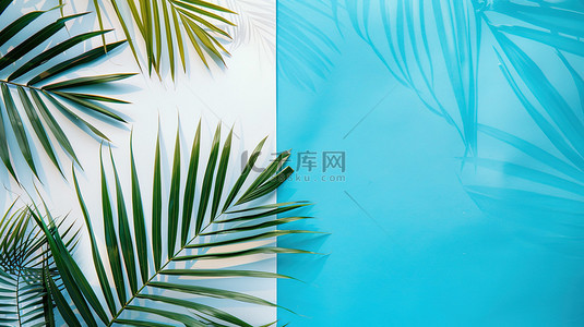 棕榈背景图片_热带棕榈树叶蓝色背景