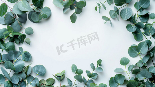 绿色植物立体描绘摄影照片