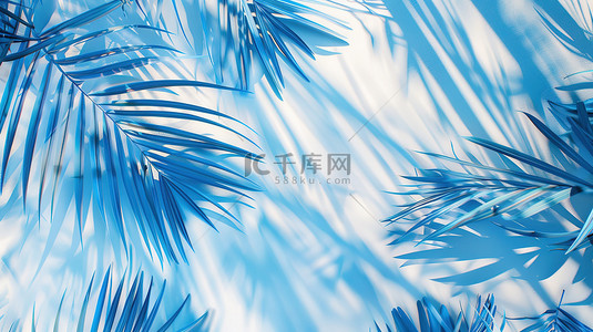 热带棕榈树叶蓝色背景