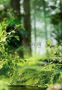 夏季背景图片_夏季植物草坪绿色3D立体背景仿摄影展台