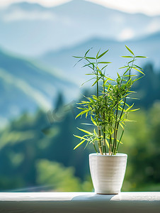 小花瓶摄影照片_白色花瓶小竹叶插花高清摄影图