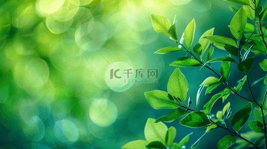 绿叶自然背景图片_户外阳光西照射树叶叶片纹理的背景