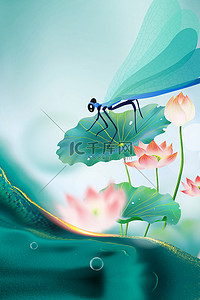 蜗牛小蜻蜓与飘虫背景图片_绿色夏季夏天立夏荷花荷叶蜻蜓质感背景