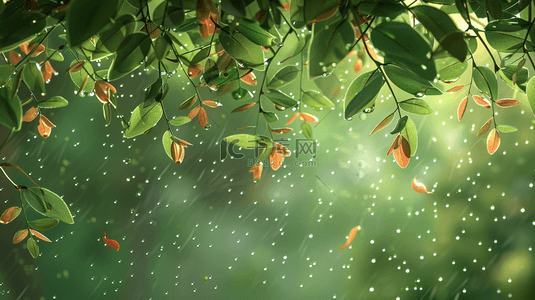 雨季背景图片_绿色森林里雨季下雨树叶树枝风景的背景