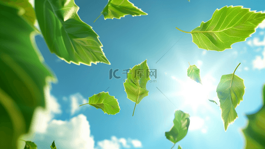树叶绿色植物背景图片_夏季绿色植物树叶装饰背景