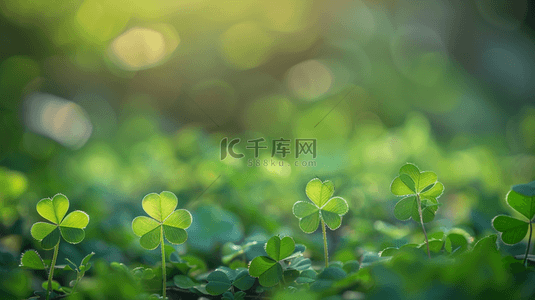 绿色圆角粽子背景图片_绿色春天户外梦话四叶草的背景