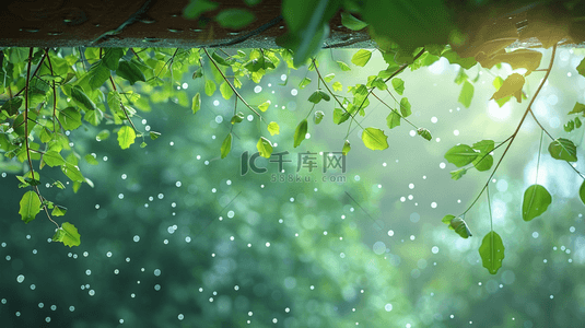 下雨背景图片_绿色森林里雨季下雨树叶树枝风景的背景