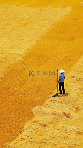 农民上岗背景图片_致敬劳动者俯拍翻晒稻谷的农民背景素材