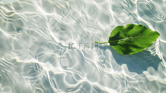 白色水纹水光水里绿色树叶的背景