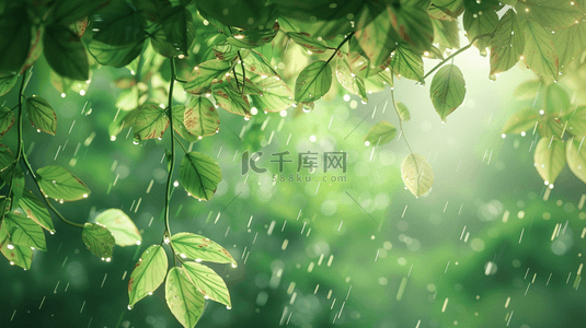 雨季背景图片_绿色森林里雨季下雨树叶树枝风景的背景