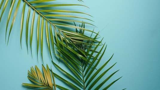 蓝色场景绿色叶片纹理照射墙面影子的背景