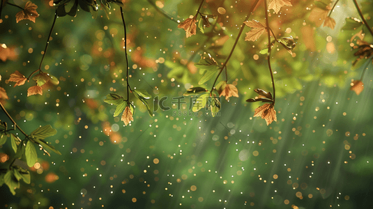 森林背景图片_绿色森林里雨季下雨树叶树枝风景的背景