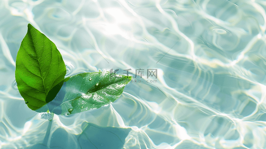 绿色水纹背景图片_白色水纹水光水里绿色树叶的背景