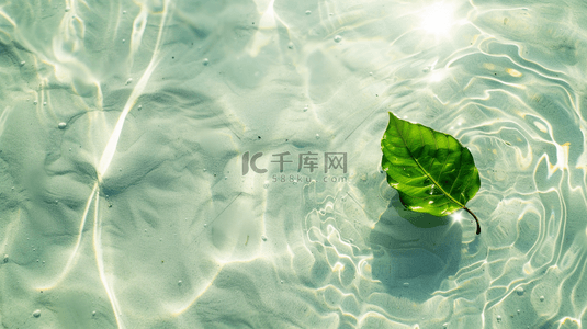 白色水纹水光水里绿色树叶的背景