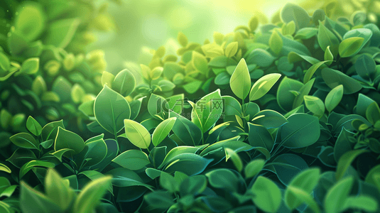 夏季植物叶子背景图片_绿色夏季植物叶子装饰背景