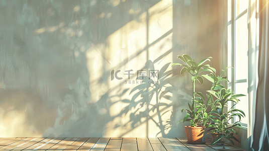 日光繁茂背景图片_窗户直射日光空白的墙设计图