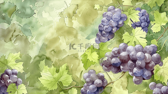 水彩水果背景图片_绿色水彩葡萄水果插画背景素材