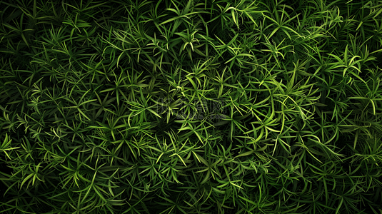 绿藤春意盎然背景图片_草地植物盎然合成创意素材背景