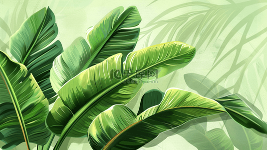 热带植物夏季叶子背景图片_夏季绿色植物叶片装饰背景
