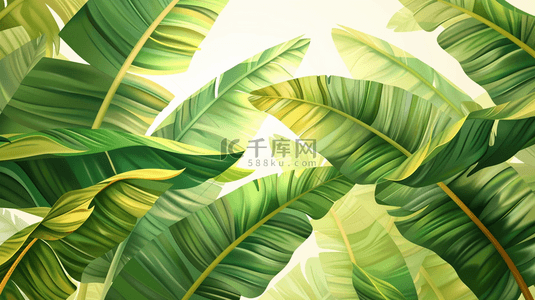 热带植物夏季叶子背景图片_夏季绿色植物叶片装饰背景