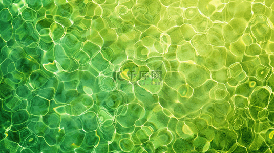 绿色夏季海边水面背景
