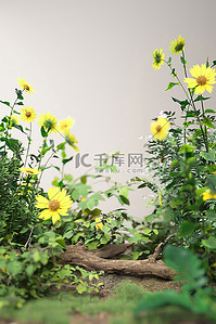 花卉绿色背景图片_夏季植物花卉绿色3D立体背景仿摄影展台