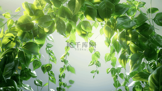 绿色植物叶子装饰边框背景