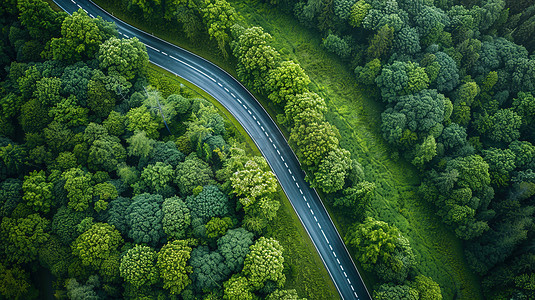 大自然乡村森林道路高清摄影图