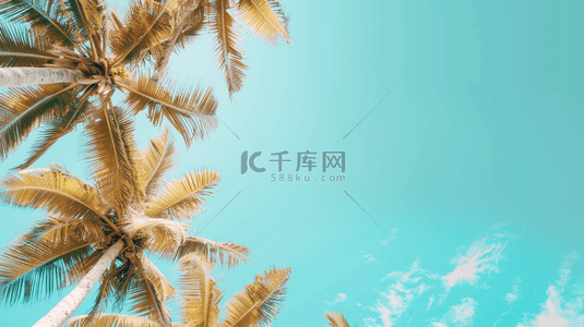 蓝色度假背景图片_蓝色夏季海边椰子树装饰背景