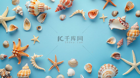 海星贝壳海螺合成创意素材背景