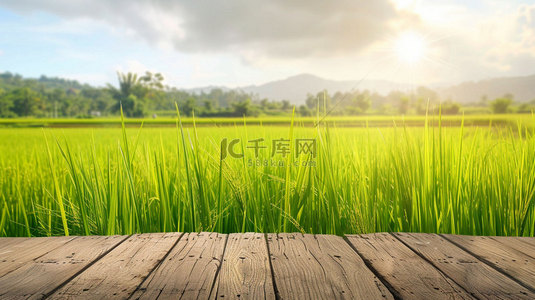 水稻背景图片_木板田野水稻合成创意素材背景