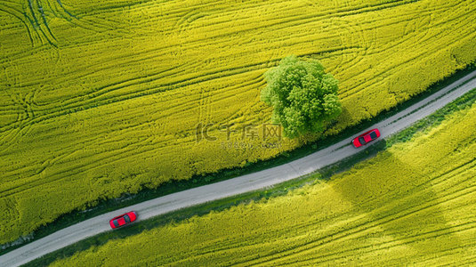 公路合成背景图片_油菜花汽车公路合成创意素材背景