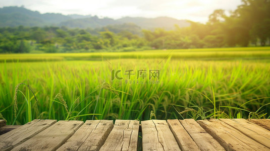 一捆水稻背景图片_木板田野水稻合成创意素材背景