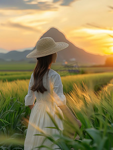 裙子摄影照片_麦田人像摄影白色裙子美女摄影图