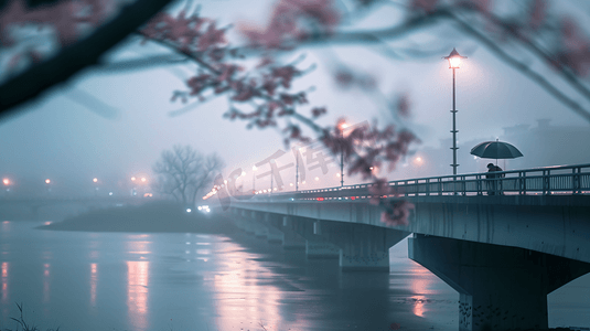 花运输摄影照片_雨天的桥和道路交通摄影5