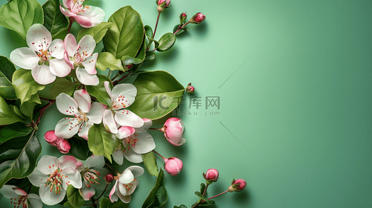绿色装饰边框背景图片_夏季绿色植物花朵装饰自然边框背景