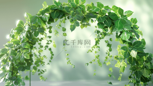 绿色植物纹理背景图片_绿色植物叶子装饰边框背景