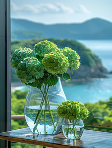 玻璃花瓶里的绿色绣球花图片