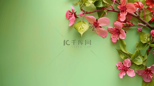 绿色植物花朵背景图片_夏季绿色植物花朵装饰自然边框背景